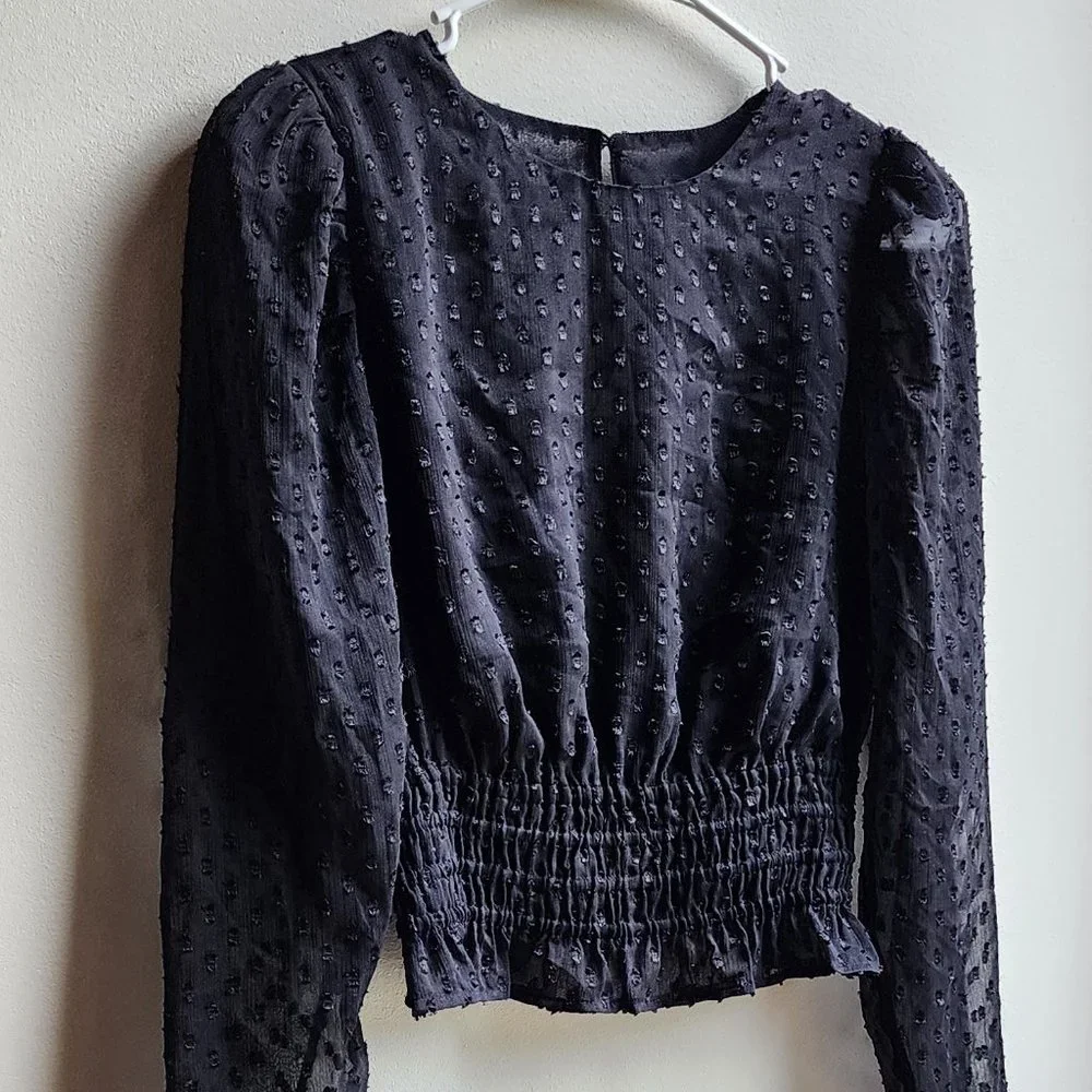 Express Sheer Black Cropped Blouse Size XS